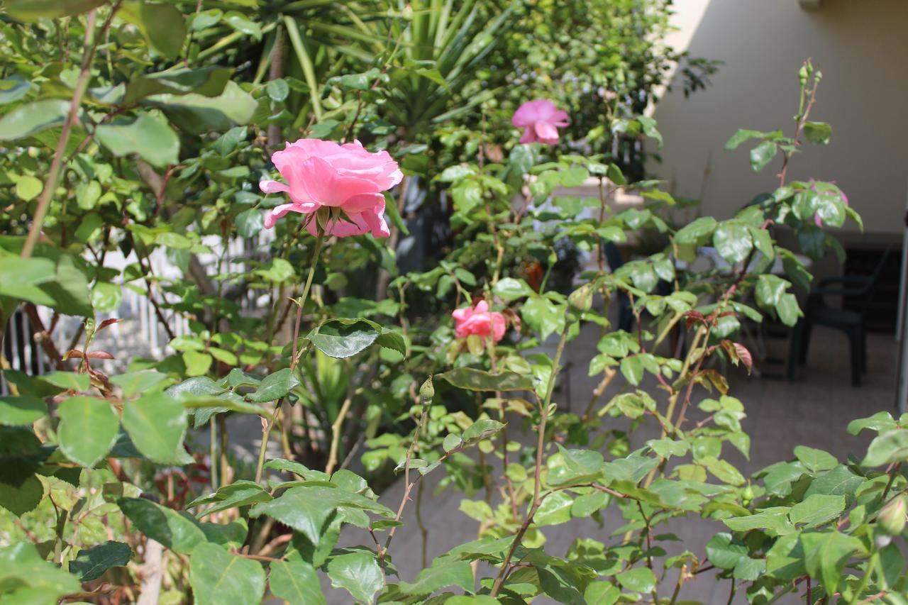 Costas Hostel Action Tseri Ngoại thất bức ảnh
