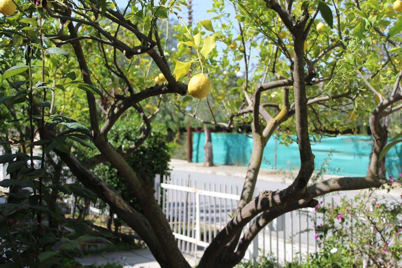 Costas Hostel Action Tseri Ngoại thất bức ảnh